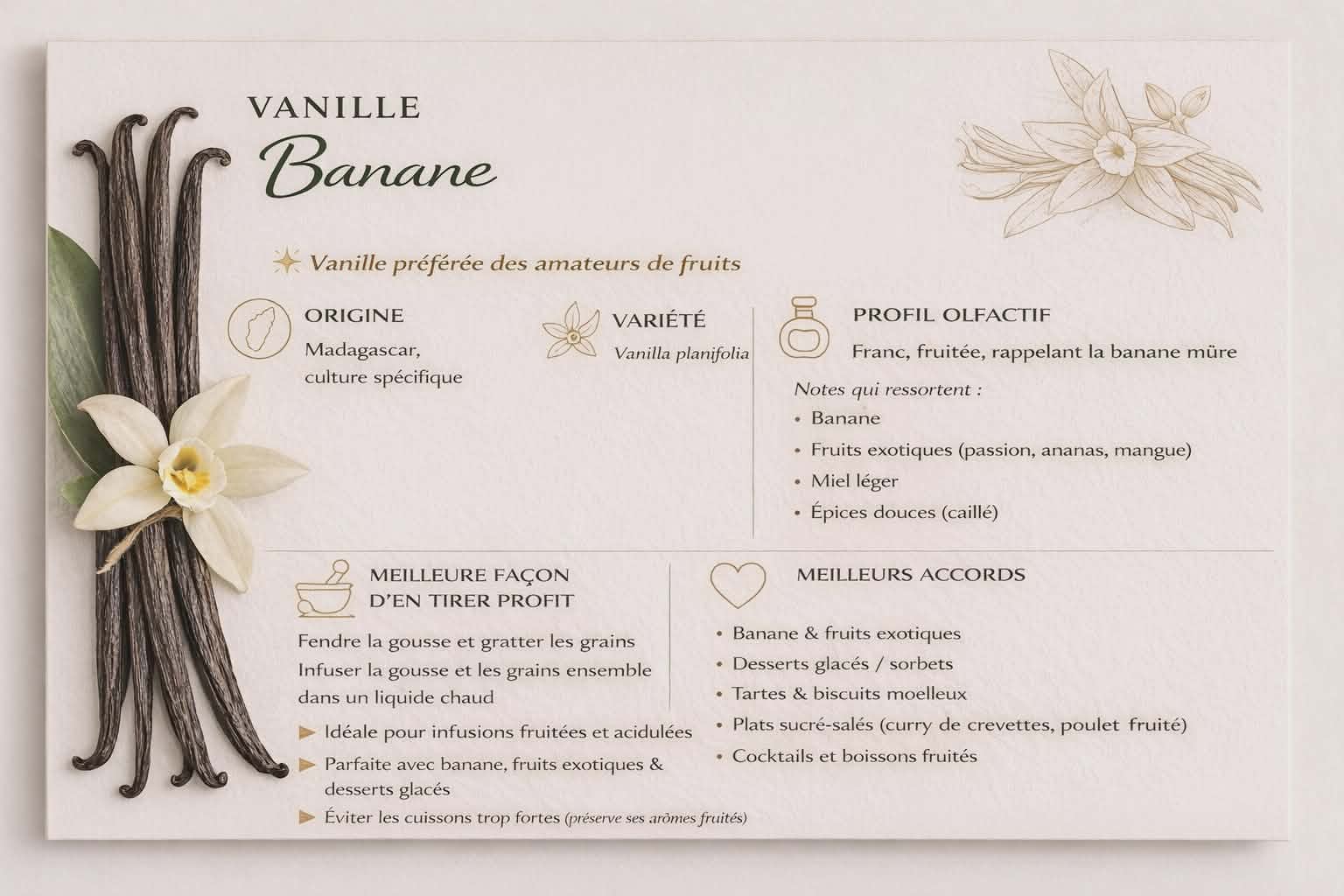 une gousse Vanille Gourmet – Origine Madagascar, Variété Banane ( 1 pièce ) – Image 4
