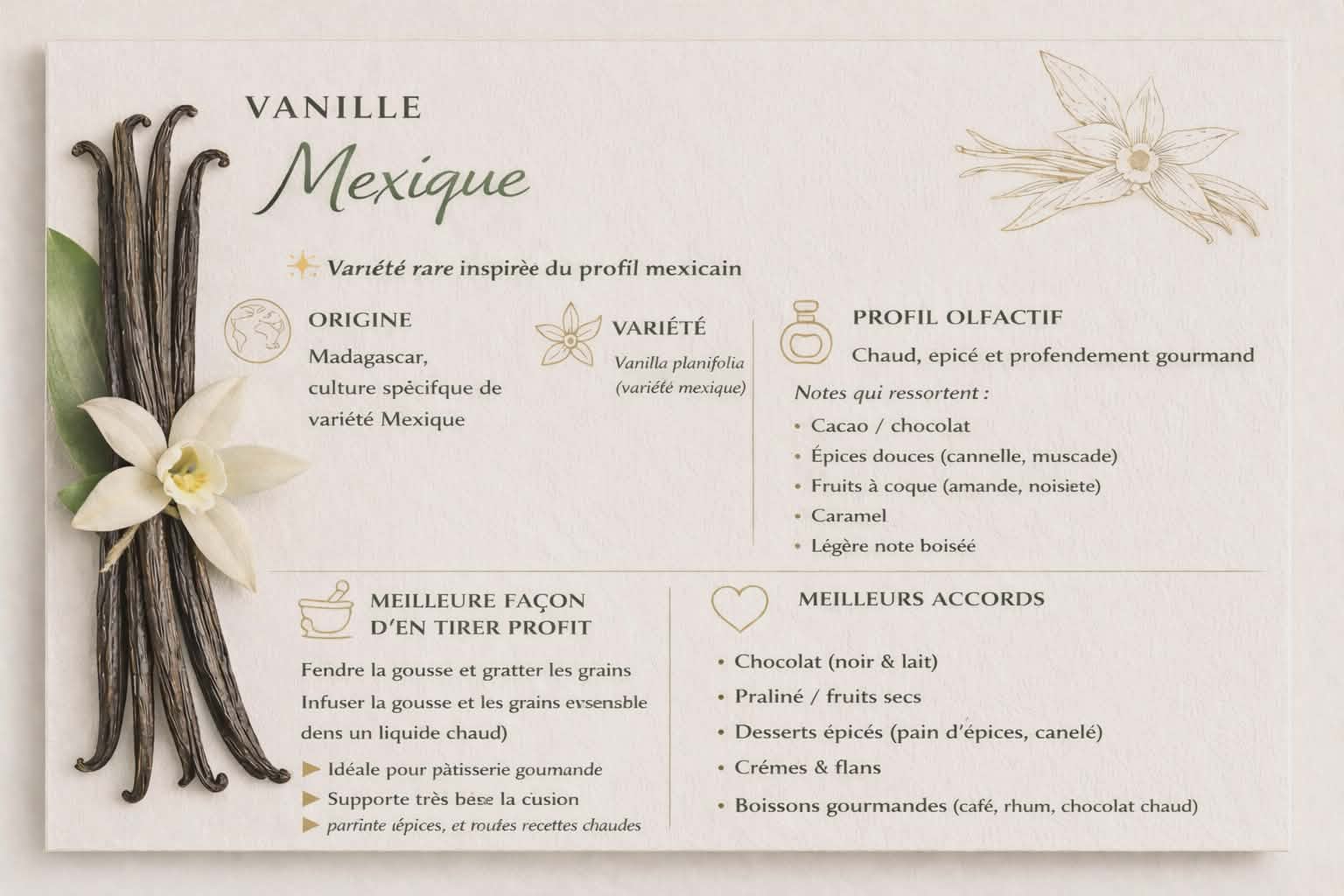 une gousse Vanille Gourmet – Origine Madagascar, Variété Mexique ( Entre 22 et 30 cm !!! ) 1 pièce – Image 4